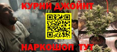 сатива Обнинск