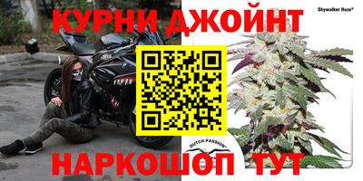 сатива Обнинск