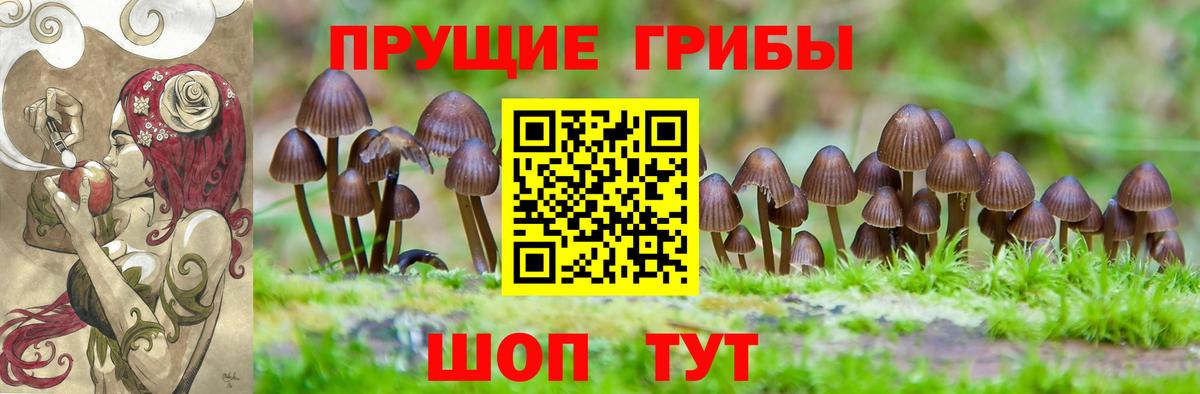 Галлюциногенные грибы прущие грибы Добрянка