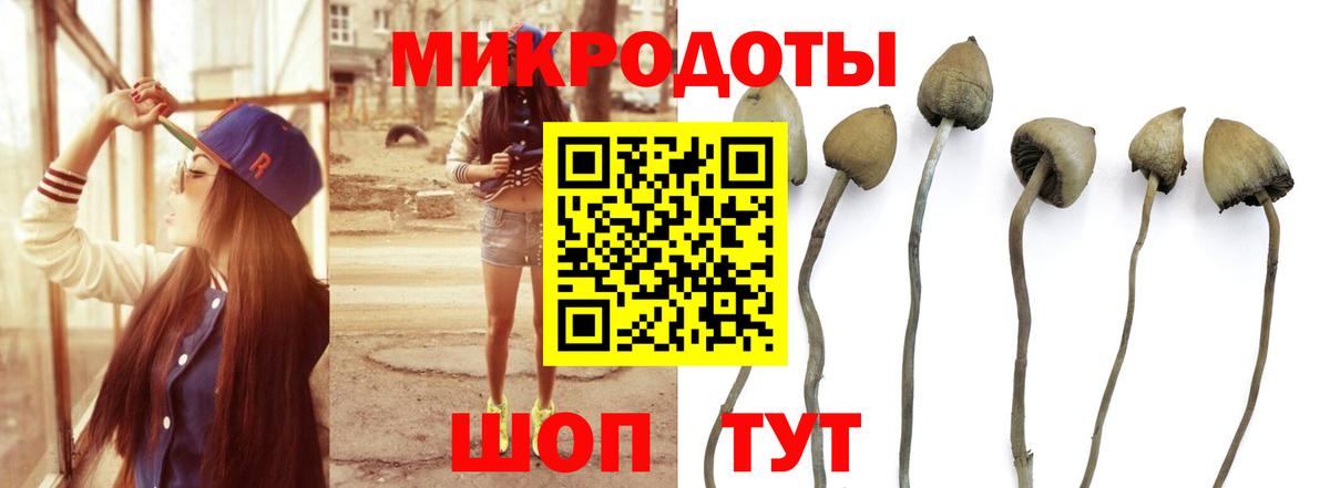 Добрянка  Галлюциногенные грибы мицелий  Вход с VPN 